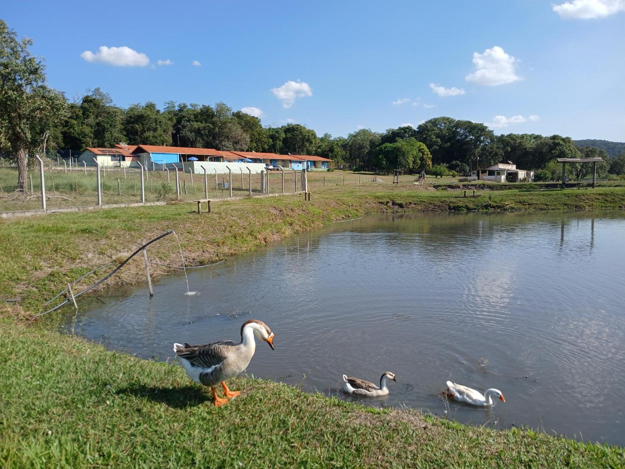 Hotel Fazenda Recanto Do Monte Alegre Piraju Zewnętrze zdjęcie