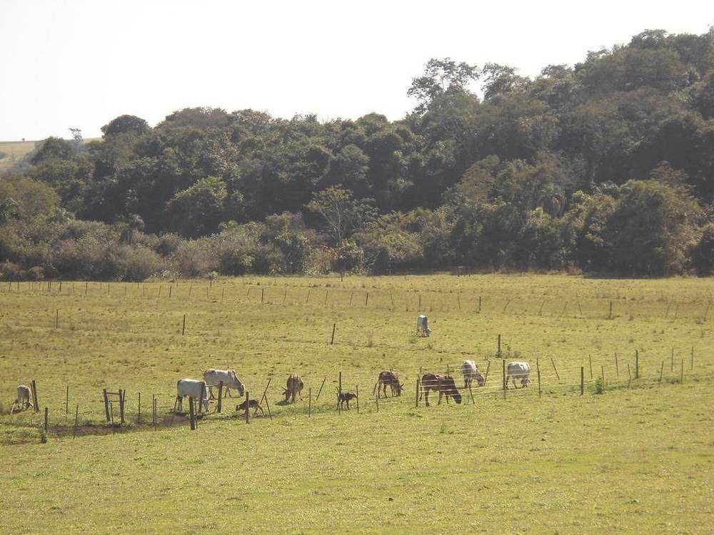 Hotel Fazenda Recanto Do Monte Alegre Piraju Zewnętrze zdjęcie